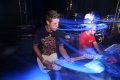 The Haven - Sarasota nightlife photo 63 of 70